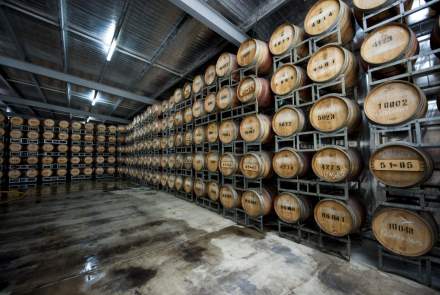 Blue Pyrenees Estate