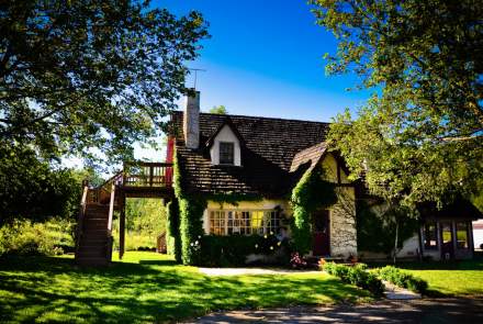 Anderson's Conn Valley Vineyards