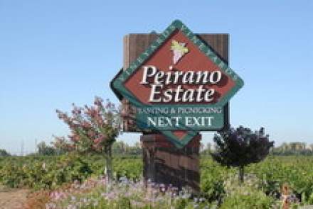 Peirano Estate Vineyards