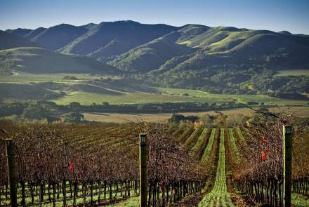 Longoria Lompoc Winery and Tasting Room
