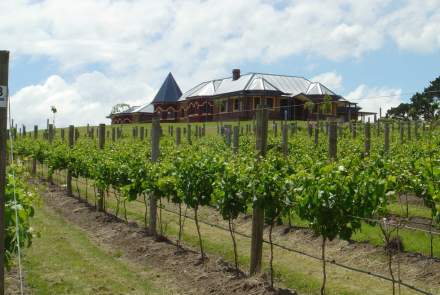 D'Angelo Estate Vineyard & Cellar Door