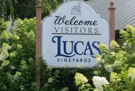 Lucas Vineyards