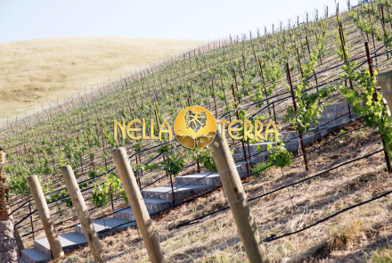 Nella Terra Cellars