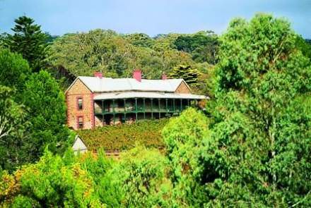 Mitchell Winery