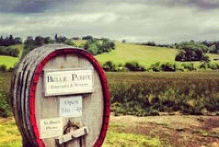 Belle Pente Vineyard & Winery