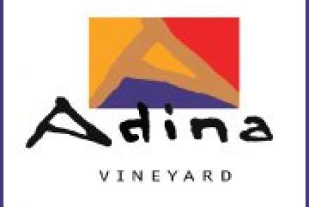 Adina Vineyard