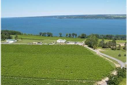 Thirsty Owl Wine Company