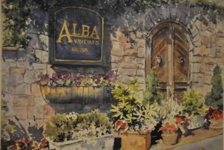 Alba Vineyard