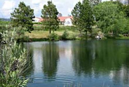 Alger Vineyards and Winery