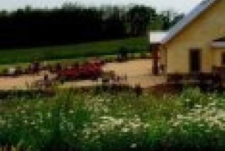 Black Ankle Vineyards