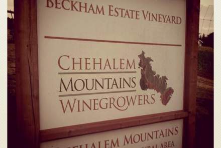 Beckham Estate Vineyard