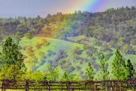 Gold Hill Vineyard and Brewery