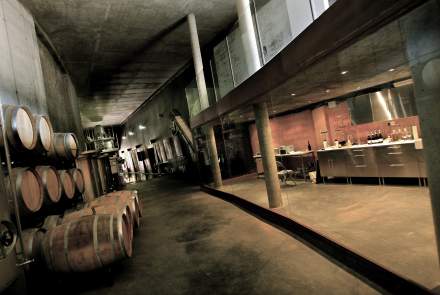 Viñas del Cámbrico