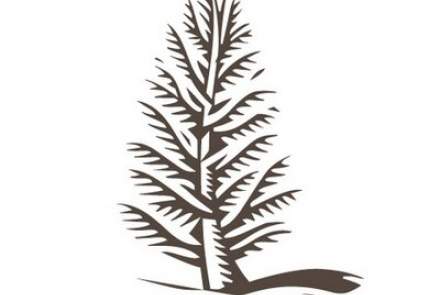 CedarCreek Estate Winery