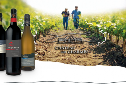 Chateau Des Charmes