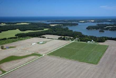 Chatham Vineyards and Winery