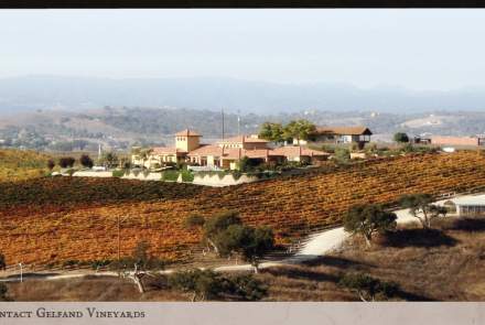 Gelfand Vineyards