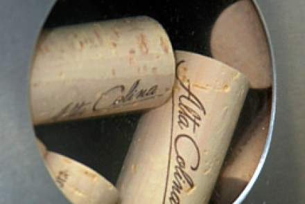 Alta Colina Vineyard and Winery