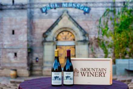 The Mountain Winery