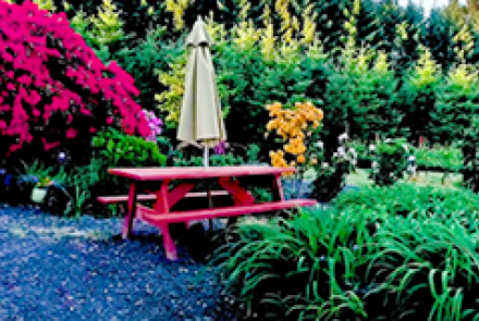 A BLOOMING HILL VINEYARD & WINERY