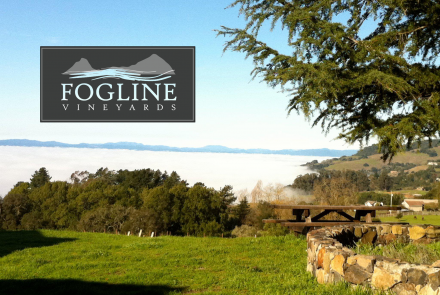 Fogline Vineyards