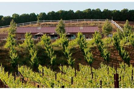 Frangipani Estate Winery