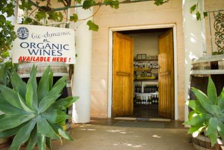 Robinvale Wines