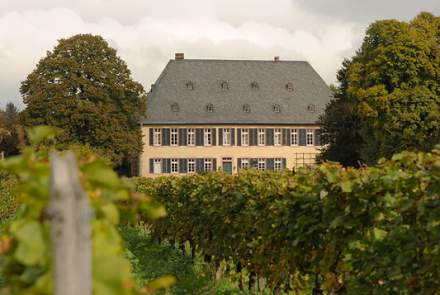 Baron Zu Knyphausen