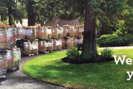 HAMACHER WINES