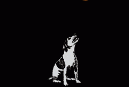 Howell at the Moon Vineyards and Winery