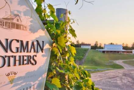 Crane Hill Vineyard - Brengman Brothers Winery