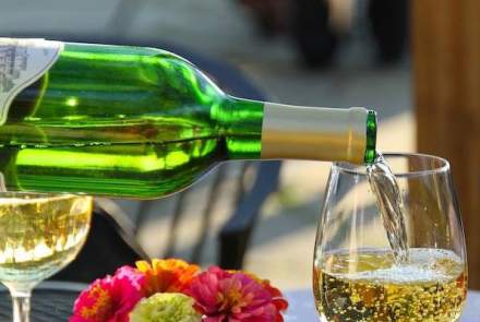 Hillsborough Vineyards