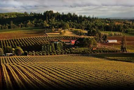Willamette Valley Vineyards