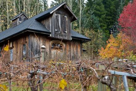 K and M Wines