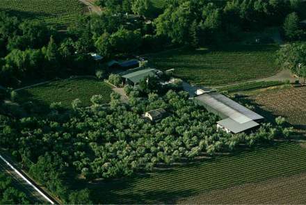 Turley Wine Cellars