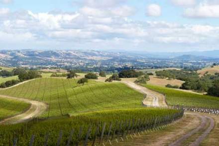 Epoch Estate Wines