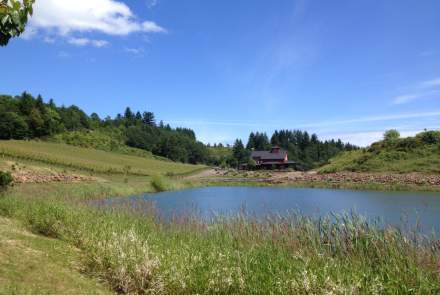 Dukes Family Vineyards