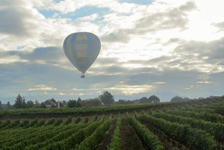 Tara Bella Vineyard and Winery