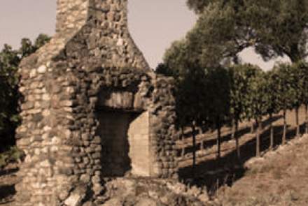 Rocca Family Vineyards