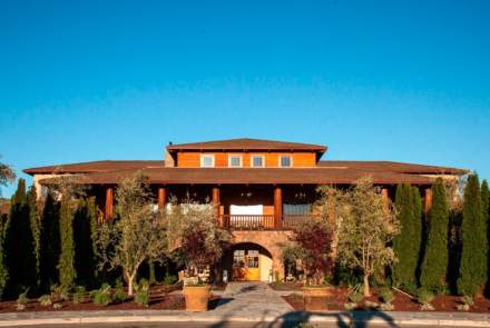 Jamieson Ranch Vineyards