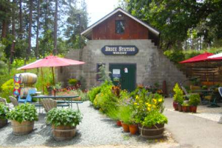 Brice Station Vintners