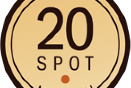 20 SPOT