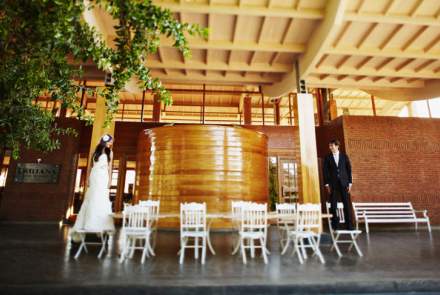 Emiliana Organic Vineyards