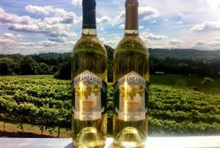 Mediterranean Cellars