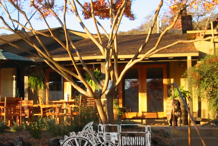 Nelson Family Vineyards