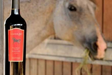 Tamber Bey Vineyards