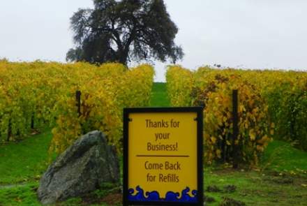 Convergence Vineyards