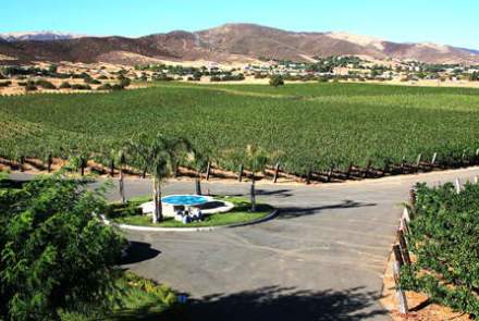 Reyes Winery