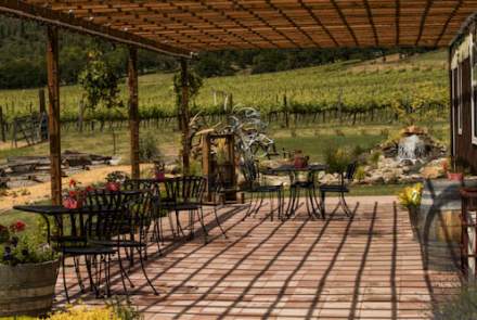 Cliff Creek Cellars Vineyard