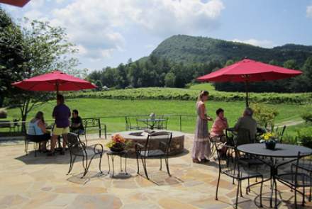Tiger Mountain Vineyards